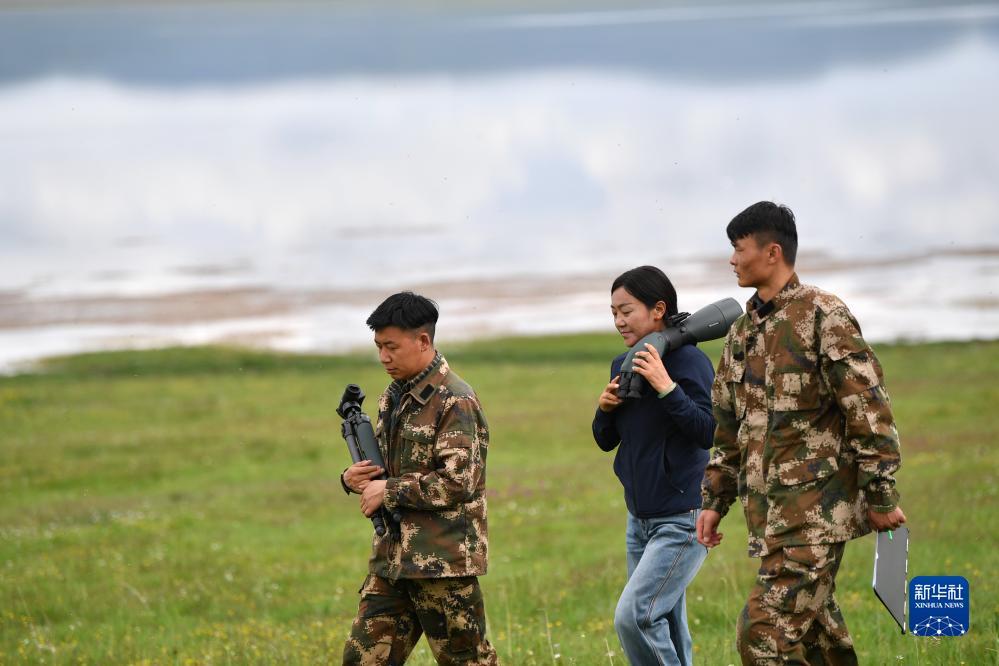 新澳门67667线路检测